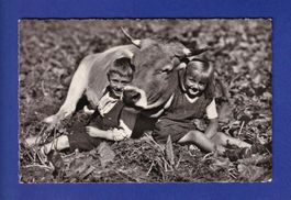 ENFANT - Avec une vache