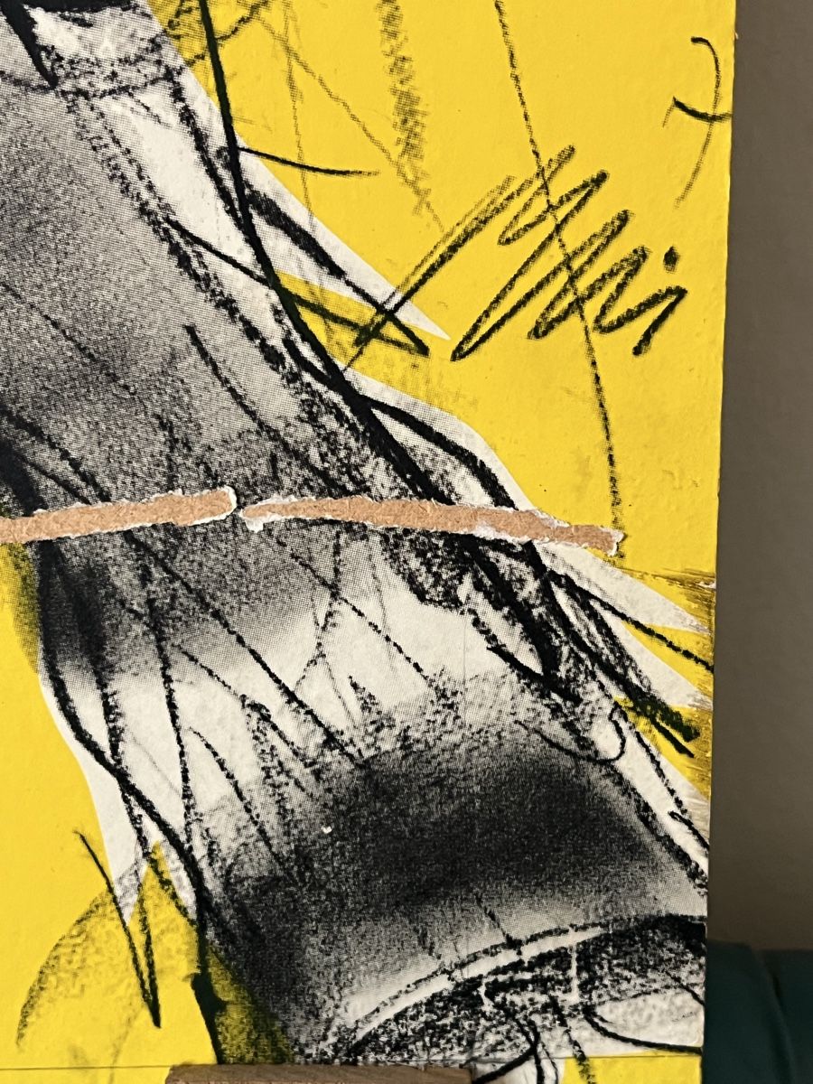 Dipinti: Grosses Elefanten-Portrait von Hans Erni – Usato da Zürich venduto da juergarno 3