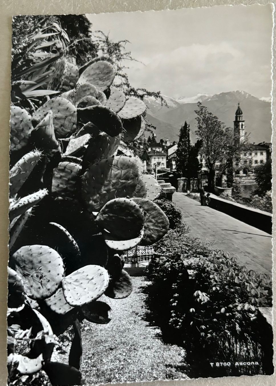 Cartoline postali: Ascona Ticino – Usato da Frauenfeld venduto da Merk52