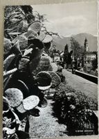 Ascona Ticino