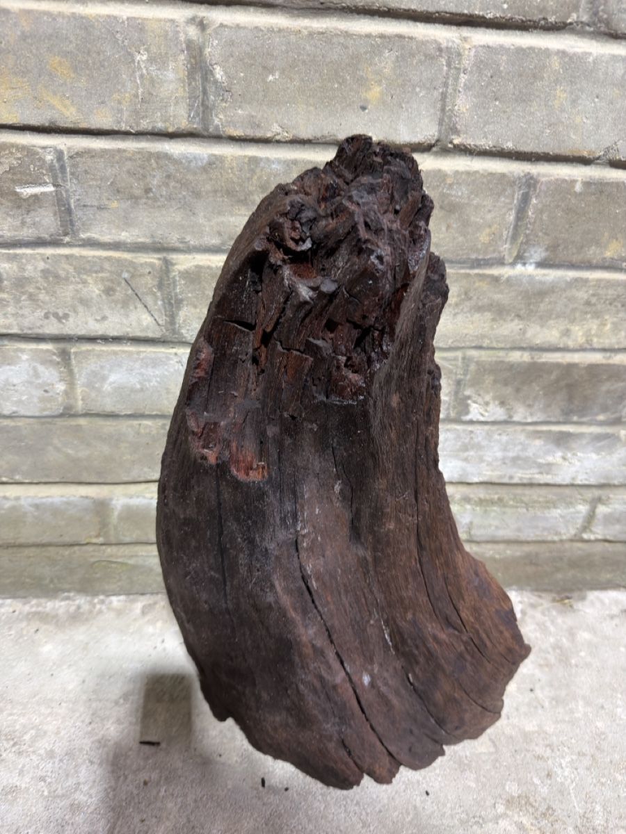 Articoli in legno: Mangrovenholz Aquarium – Usato da Rudolfingen venduto da levinkuendig11 2