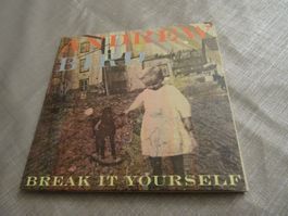Andrew Bird - Break It Yourself CD