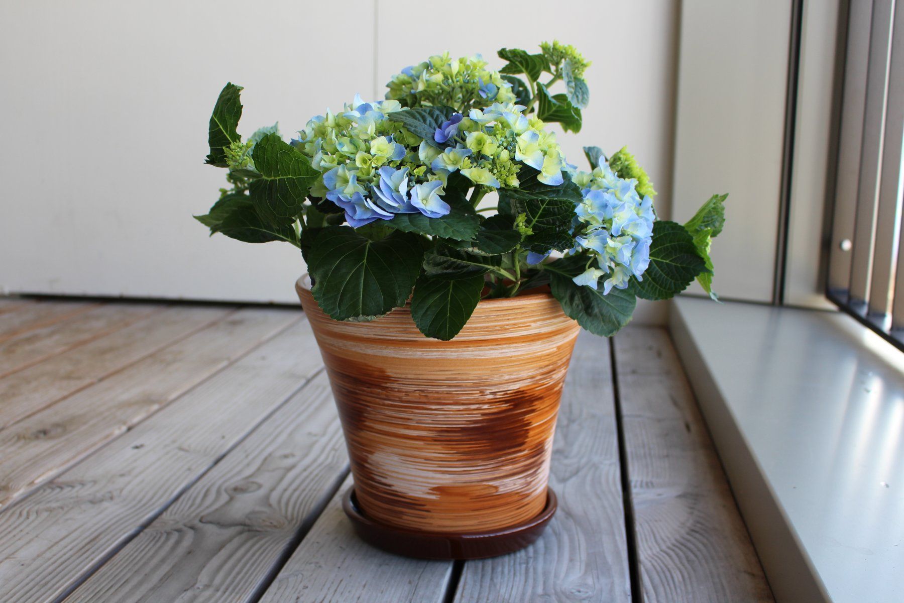 Vasi per fiori: Pflanzentopf/Blumentopf/Tontopf/Garten – Nuovo e nell'imballaggio originale da Zürich venduto da StellaKar 1