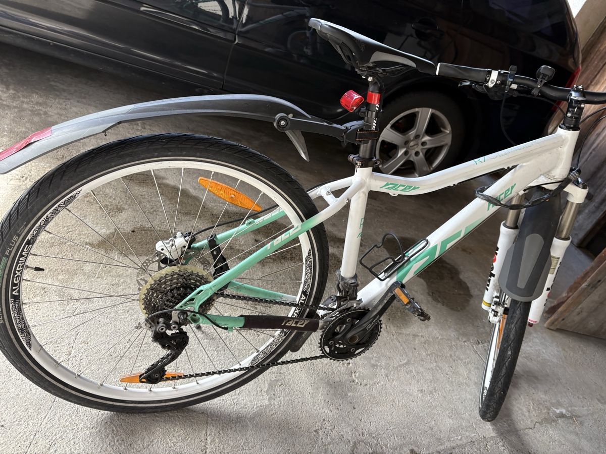 Biciclette: Damen Velo Racer 7.0 – Usato da Wilderswil venduto da kim_nbp9 1