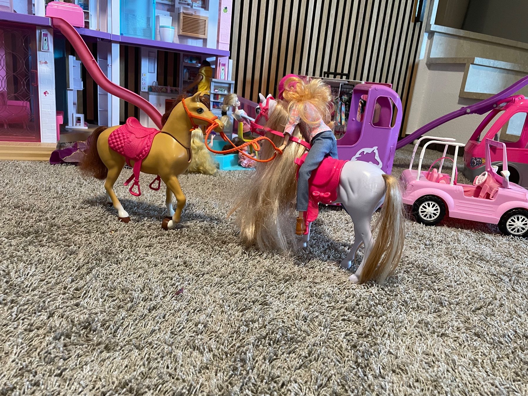Bambole: grosse Barbie Welt – Usato da Altstätten SG venduto da nmandy 2