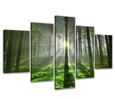 + LEINWAND WANDBILDER VERSCHIEDENE BILDER MOTIVE 200 X 100cm