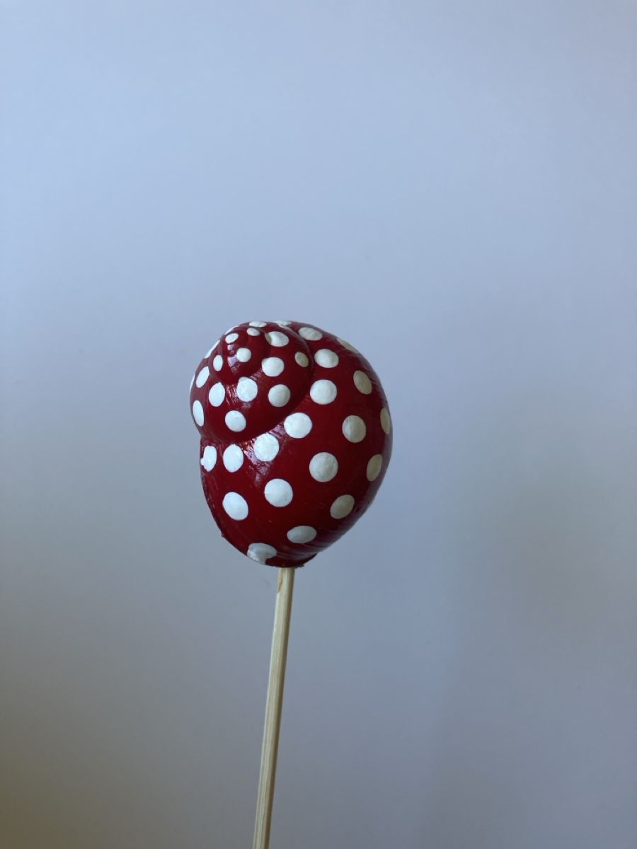 Toutes les décorations: Schneckenhaus rot-weiss – Neuf avec emballage d'origine à Reitnau par Juda65