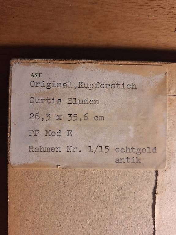 Stiche: Original Kupferstich Curtis Blumen – Gebraucht aus Flerden von Brockengespenst 3