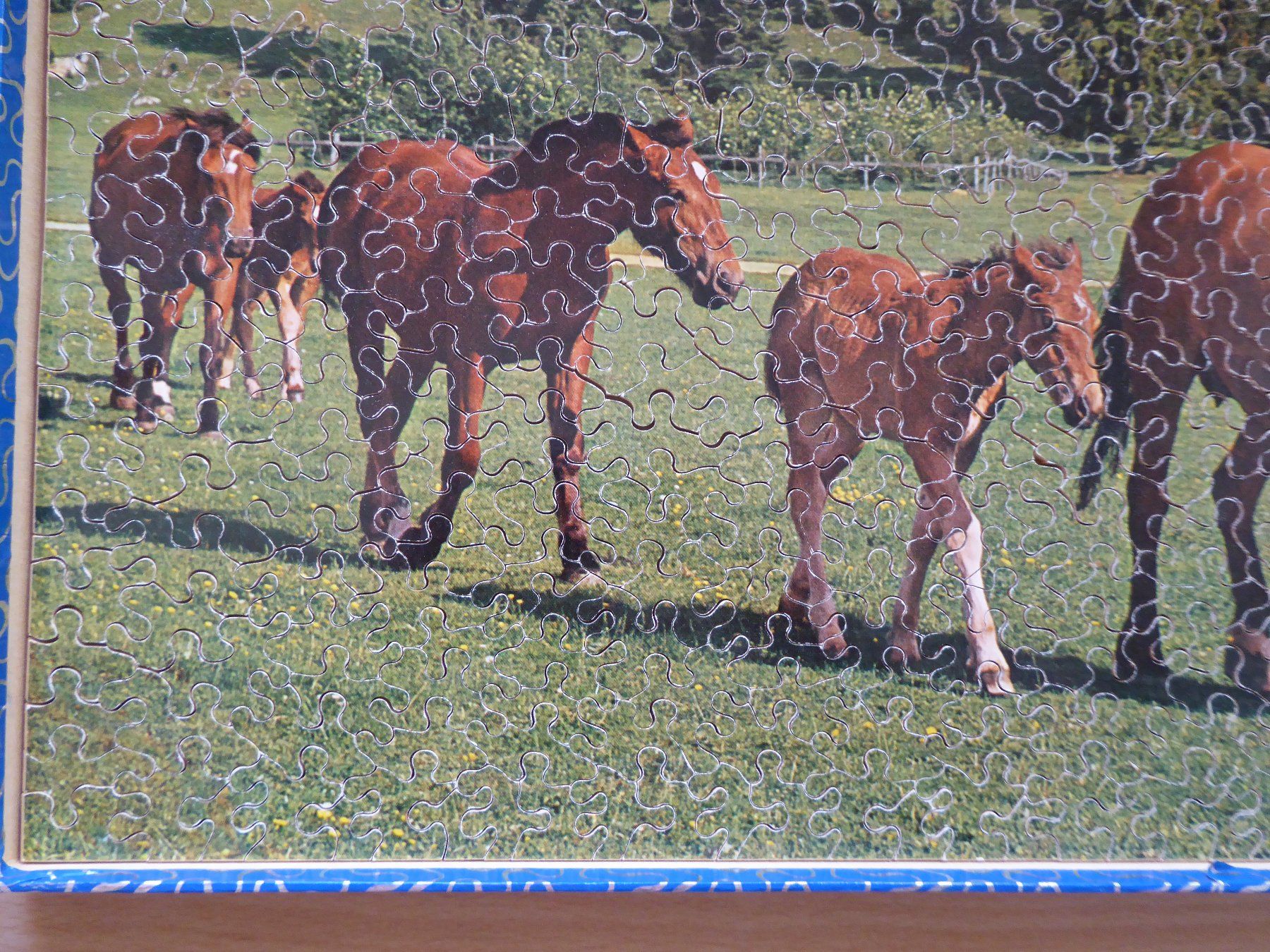 Penelope Puzzles: Penelope Puzzle 500 Teile - Pferde – Gebraucht aus Gossau SG von tenerife11 6