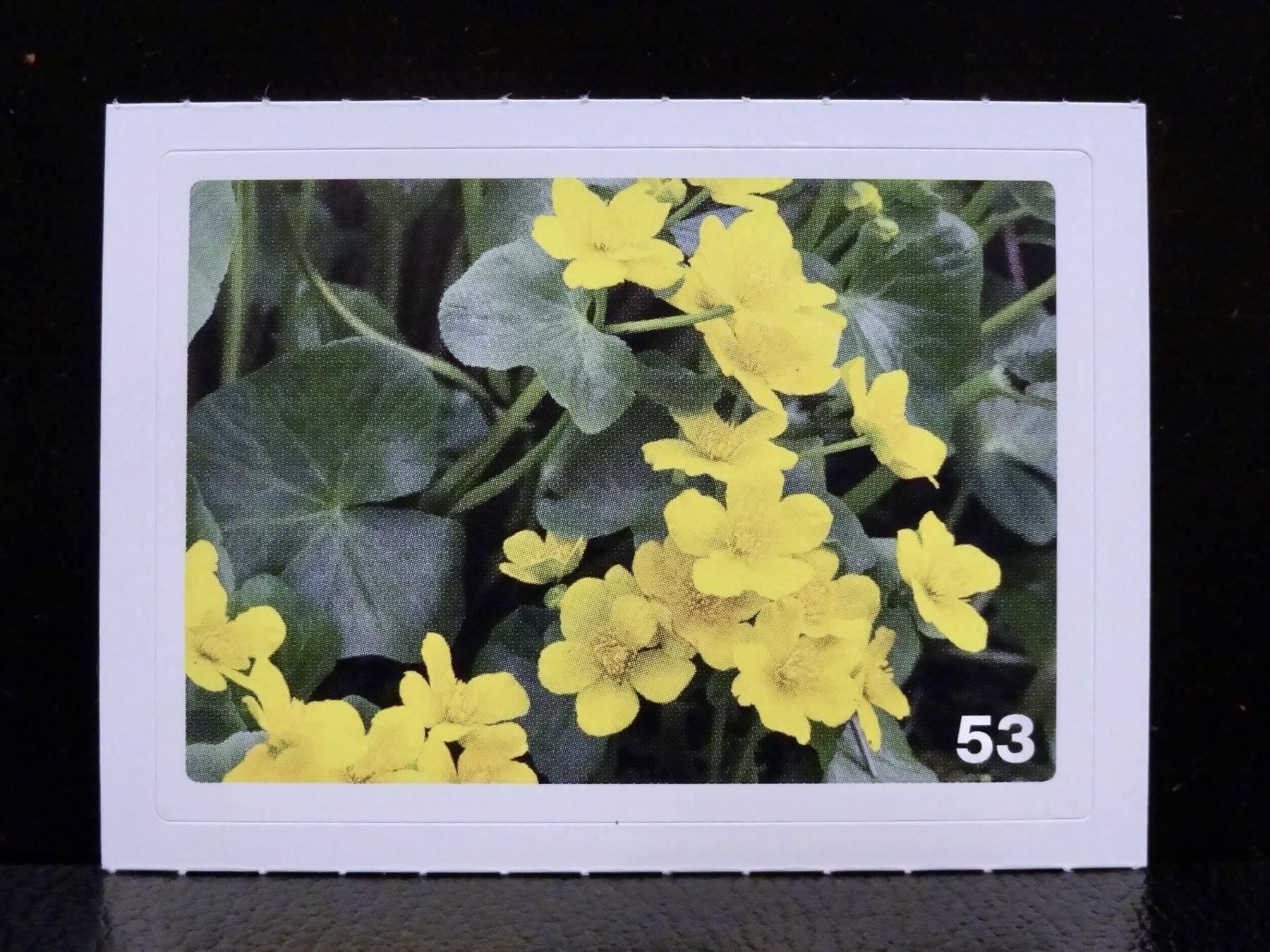 Migros Cartes à collectionner: MIGROS MANIA Nature Detectives Nr. 53 – Neuf avec emballage d'origine à Kerzers par zimmergruen