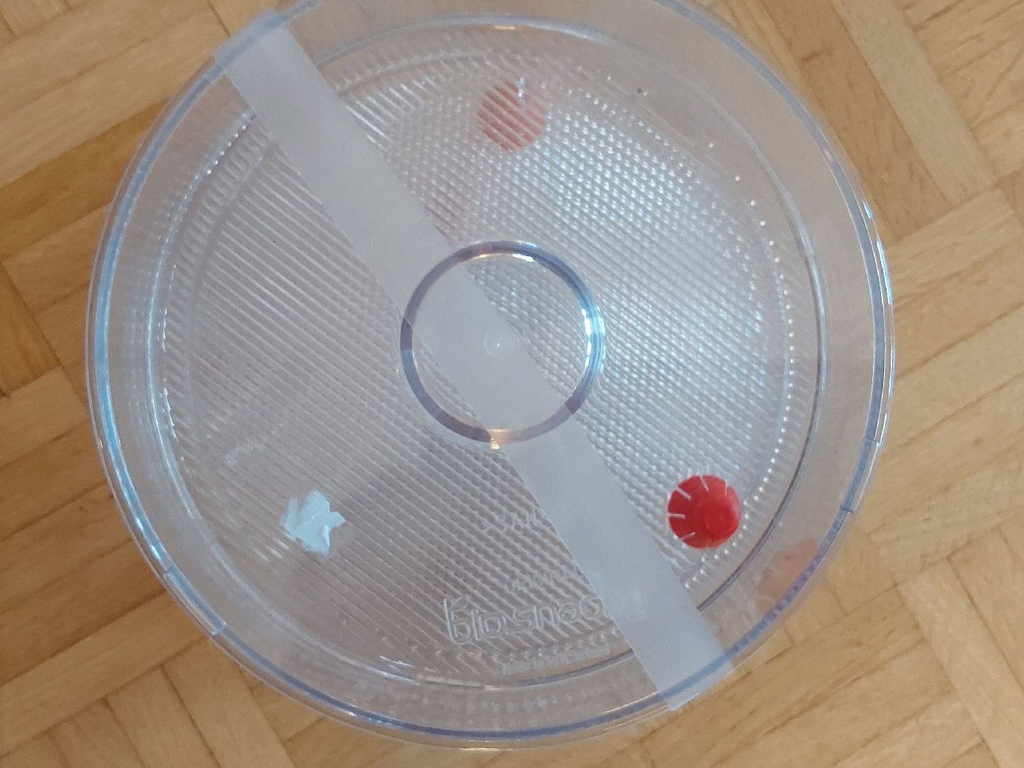 Elettrodomestici da cucina: original bio snacky Keimgerät neu – Nuovo e nell'imballaggio originale da Köniz venduto da scopello12 2