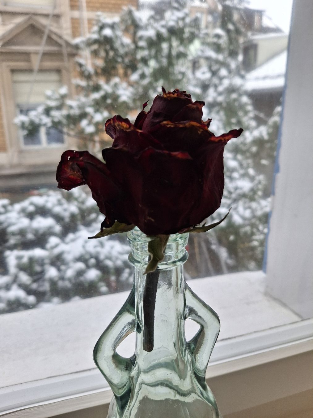 Vasi & Recipienti: Vase – Usato da Zürich venduto da wildflower26