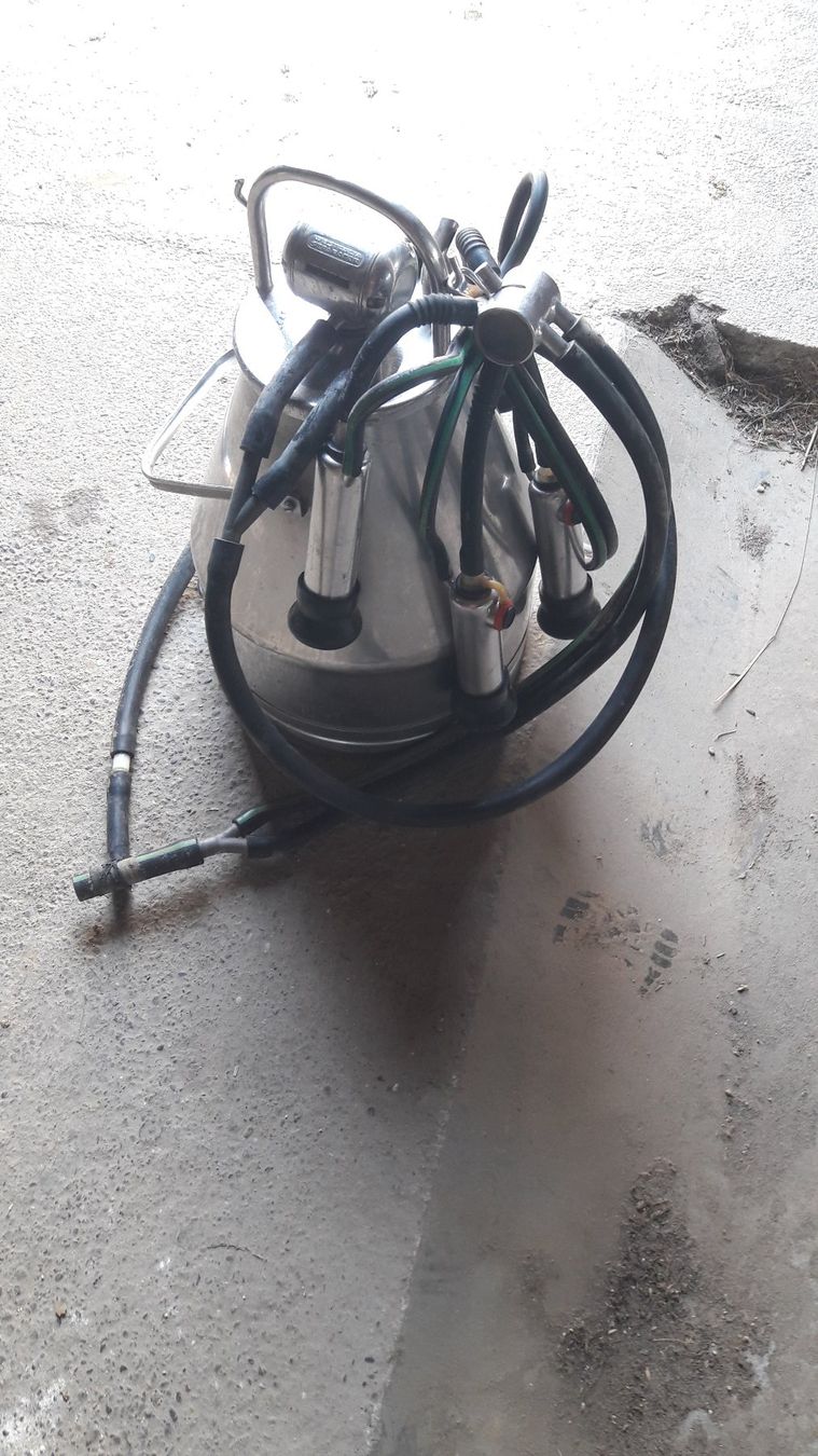 Tutte le macchine: Melkmaschine Westfalia nummer 3 – Usato da Laufen venduto da Mann455 2