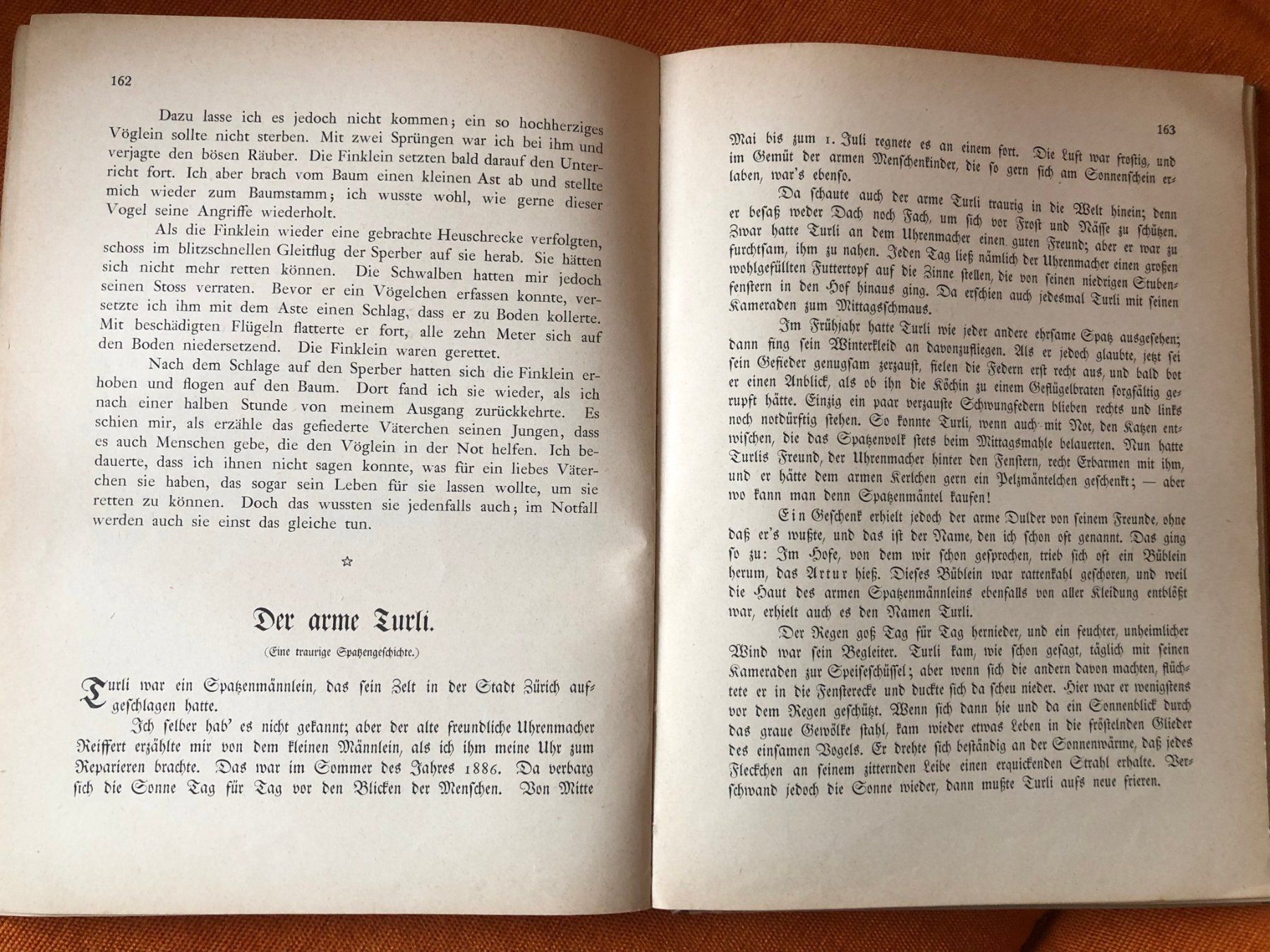 Libri: antikes Kinderbuch, schweizer Jugendschatz ca. 1930 – Usato da Buchs ZH venduto da krenzi 6