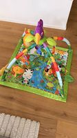 Fisher Price Spielbogen - farbige Spieldecke