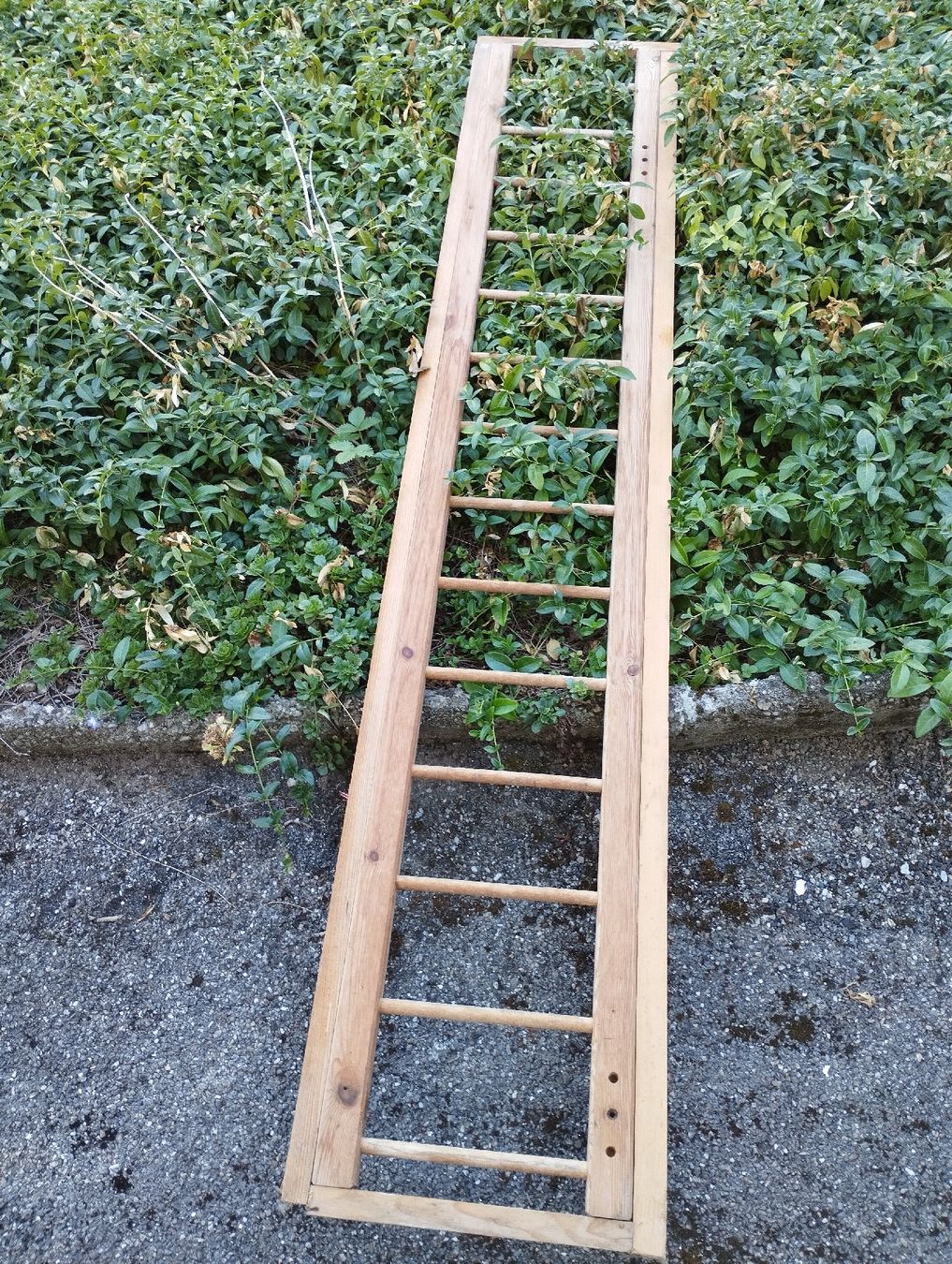 Echelles: Holzleiter Leiter natur – D'occasion à Ostermundigen par Dinge1 1