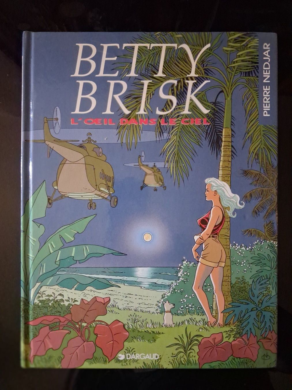 Fumetti: BD Betty Brisk L'oeil Dans Le Ciel - Dargaud - 1992 - EO – Usato da Cartigny venduto da pgc_fk9s