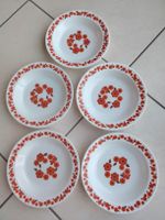 Lot de 5 assiettes creuses lotus arcopal