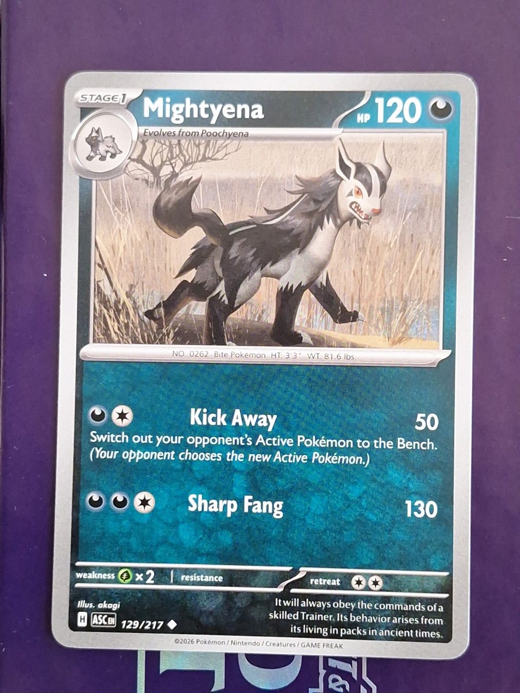 Pokémon Carte collezionabili: Mightyena - Pokemon Ascended Heroes – Usato da Altstätten SG venduto da GGsGameshop