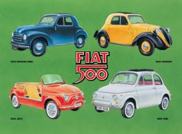 Blechschild-FIAT 500 PALETTE