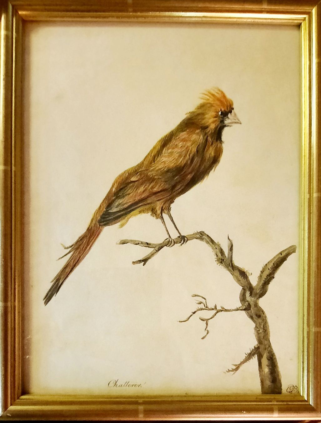 Dipinti: BELLE AQUARELLE 18/19ÈME SIÈCLE MONOGRAMMÉE  – Usato da Genève venduto da Enigme8