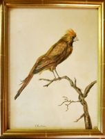 BELLE AQUARELLE 18/19ÈME SIÈCLE MONOGRAMMÉE 