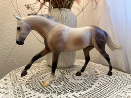 Breyer Carter 