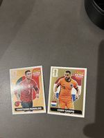 Panini Stickers: Ronaldo/Cakpo
