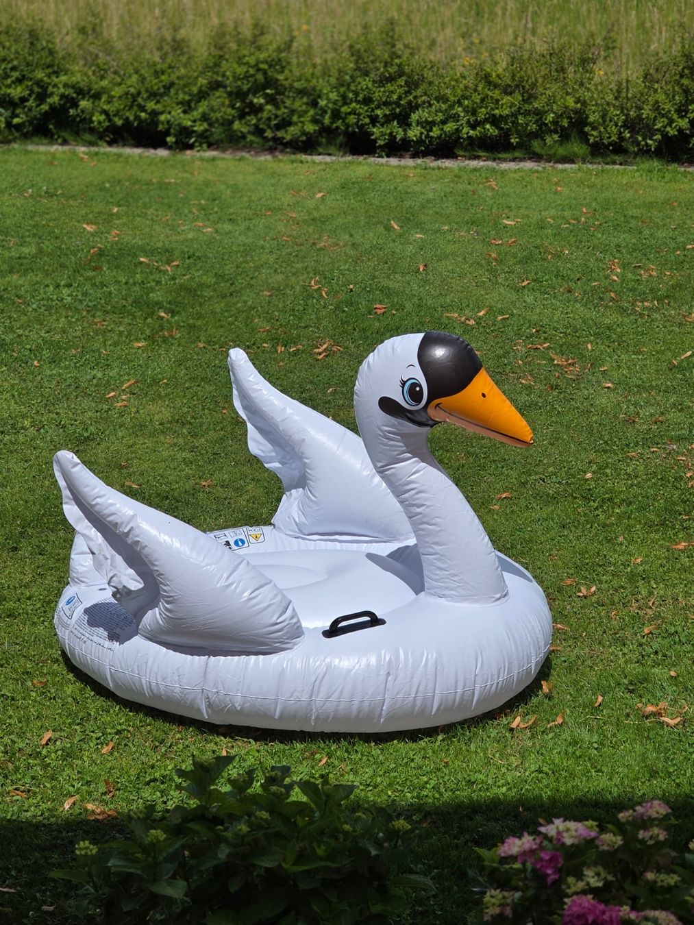Schwimmringe: Intex Schwimmtier Schwan – Gebraucht aus Arbon von Maja_80 1