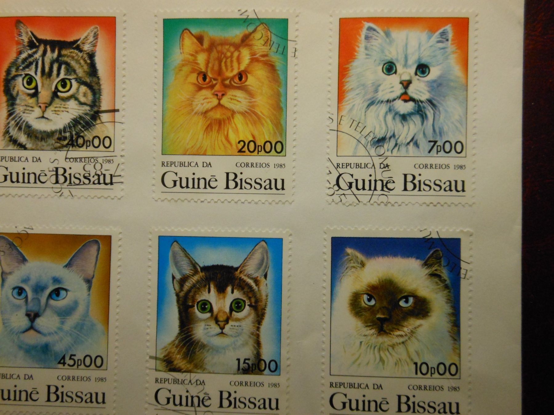 Tutti i francobolli: CHATS  7 beaux timbres – Usato da Lausanne venduto da Jdelta 2