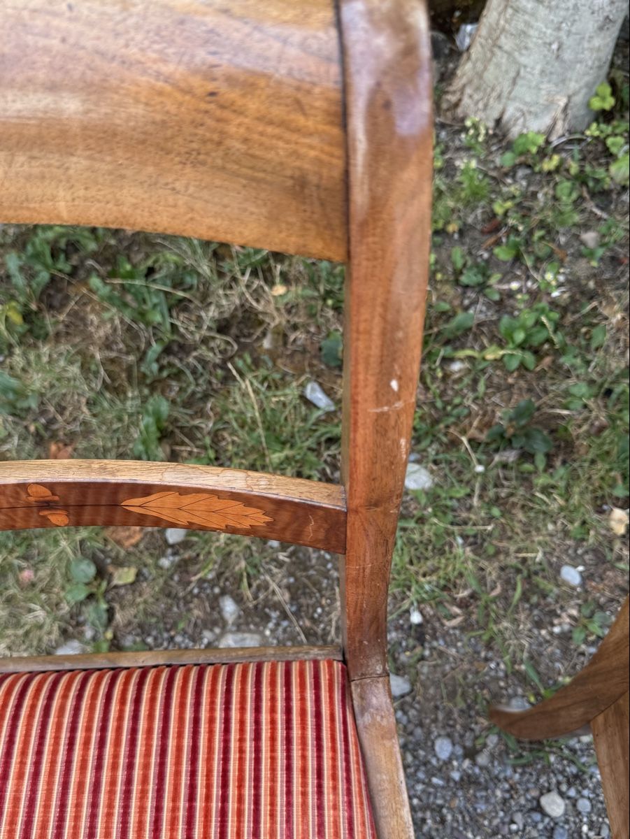 Stühle: Biedermeier stuhlen 2 stk.  – Gebraucht aus Schlieren von Freundlich02 7