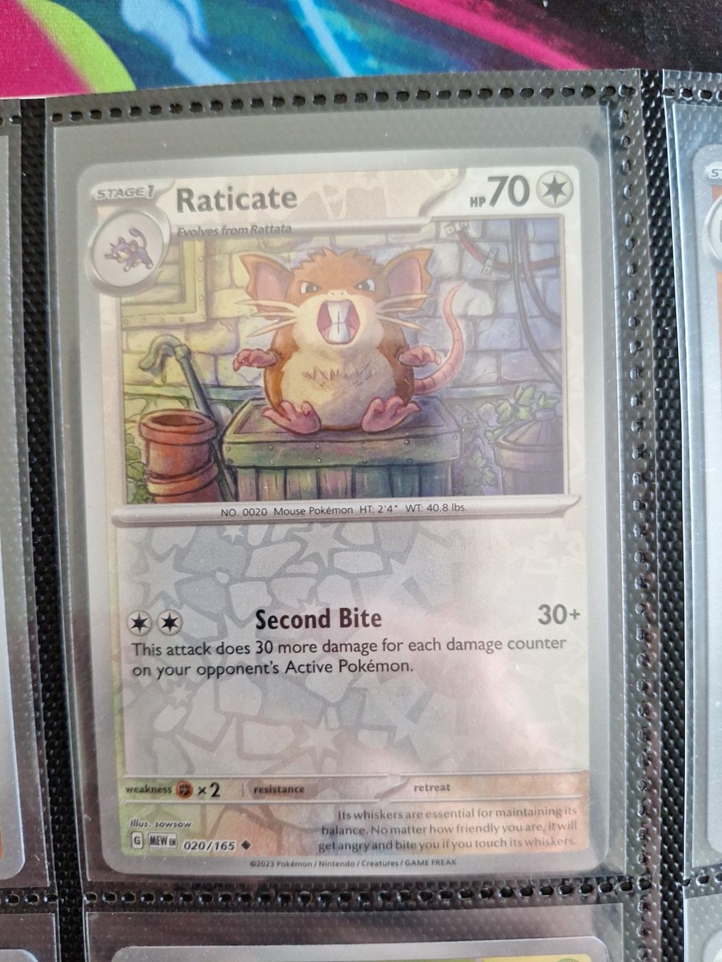 Pokémon Carte collezionabili: Raticate Reverse Holo - Mew 151 Pokemon TCG – Usato da Altstätten SG venduto da GGsGameshop