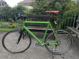 Fixie Zweigang Renner Unikat