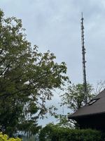 Mast / Antenne / Segel / Stütze /