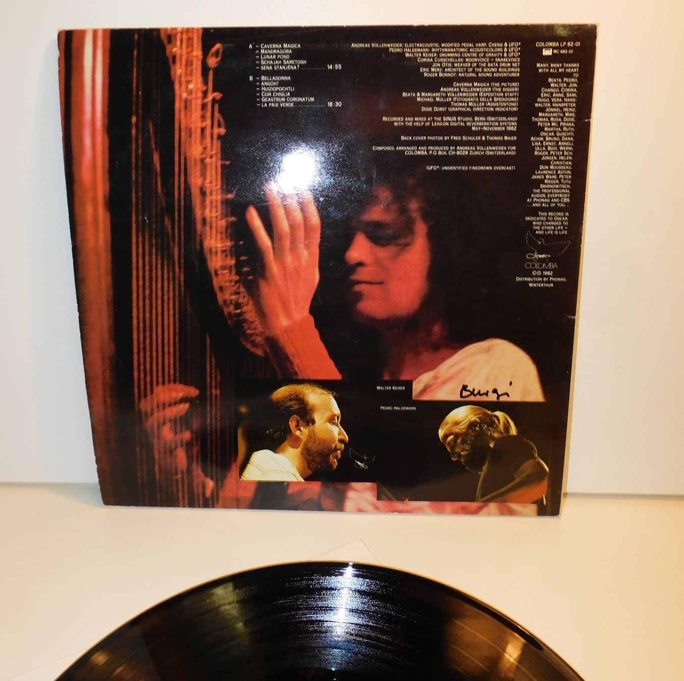 Dischi in vinile: LP Schallplatte - Andreas Vollenweider 1982  Schallplatte – Usato da Sursee venduto da 76 6