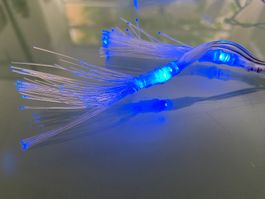 Guirlande lumineuse LED