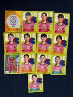 13 Panini Sammelbilder von Korea