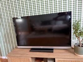 Sony Fernseher guter Zustand