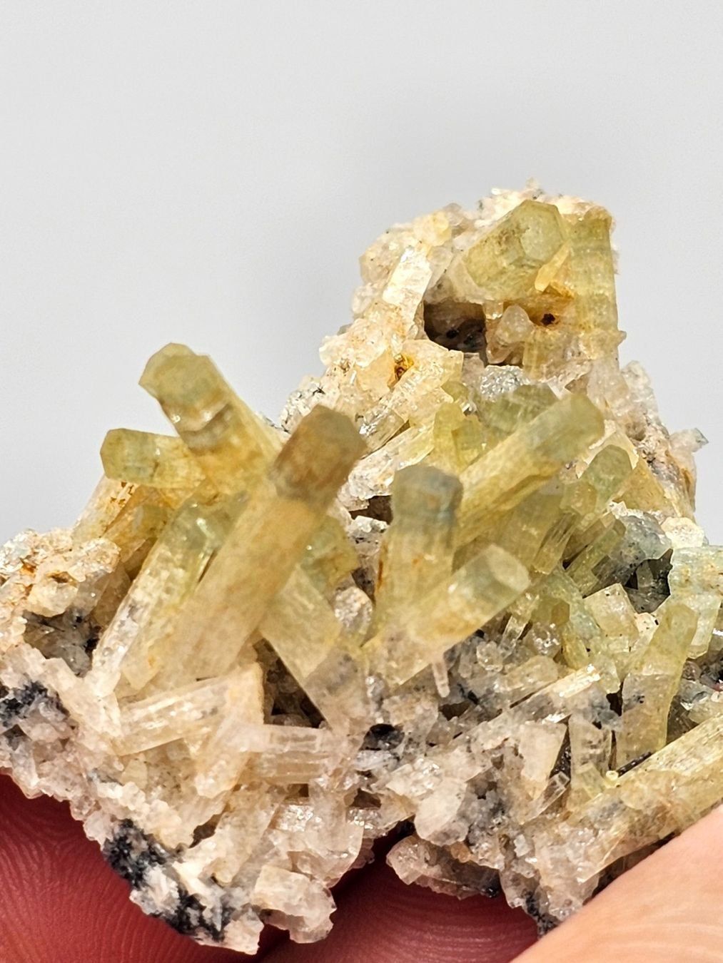 Mineralien & Heilsteine: Heliodor/Aquamarin mit Turmalin aus Namibia. – Gebraucht aus Figino von minshop 2