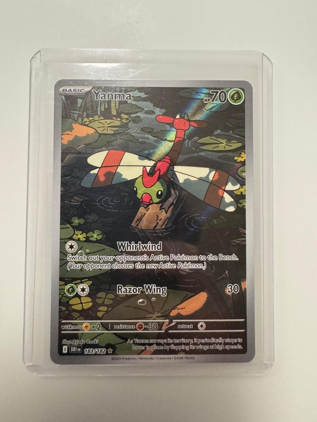 Pokémon Carte collezionabili: Yanma | Illustration Rare | DRI 183/182 | EN – Usato da Spreitenbach venduto da Snacky96