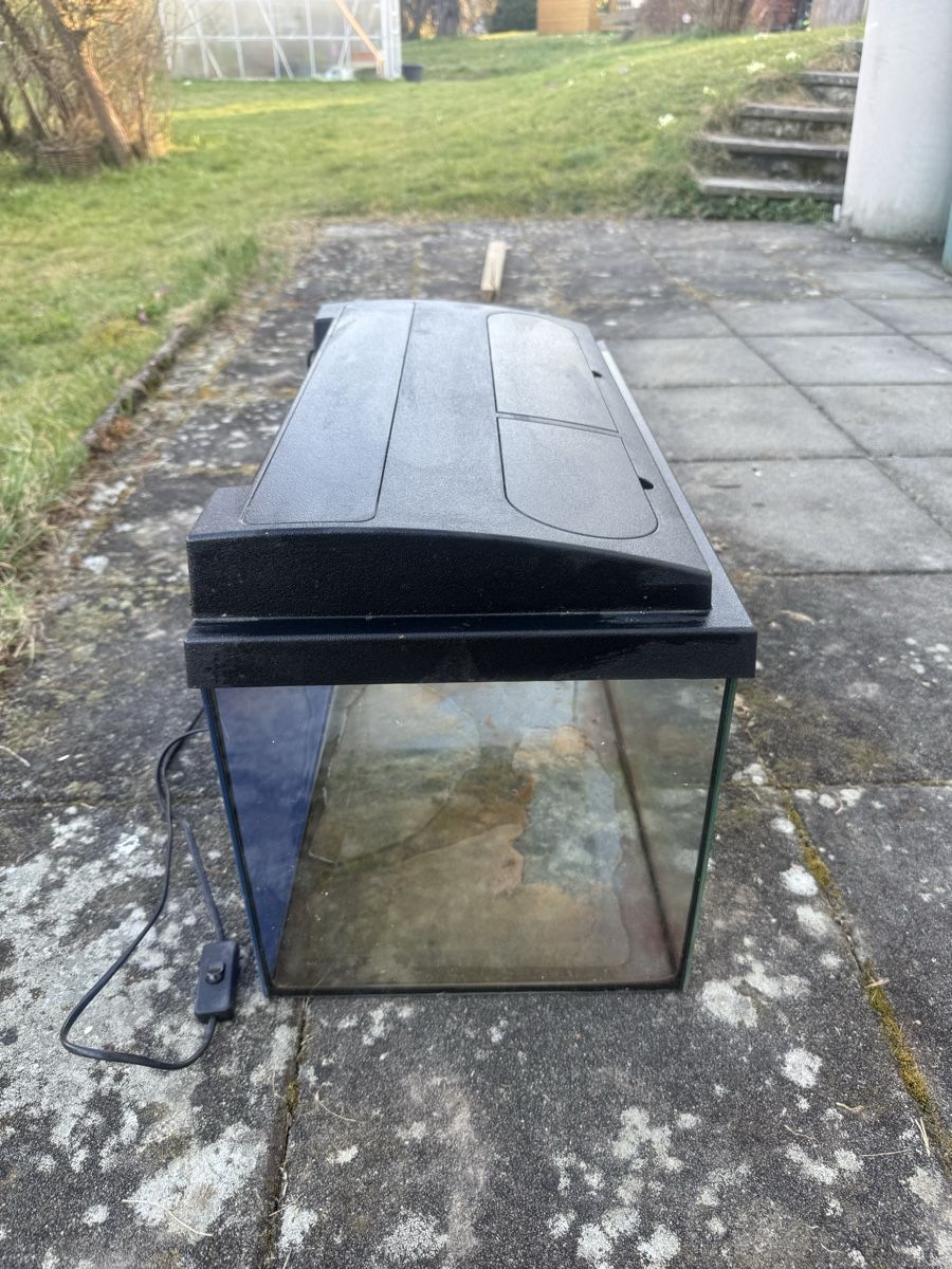 Acquari: Kleines Aquarium – Usato da Boniswil venduto da Tuningking222 1