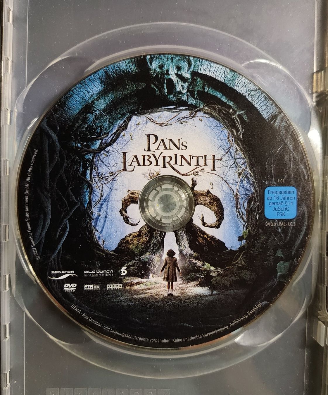 Tutti i DVDs: DVD Pans Labyrinth – Usato da Ziefen venduto da MullerD 2