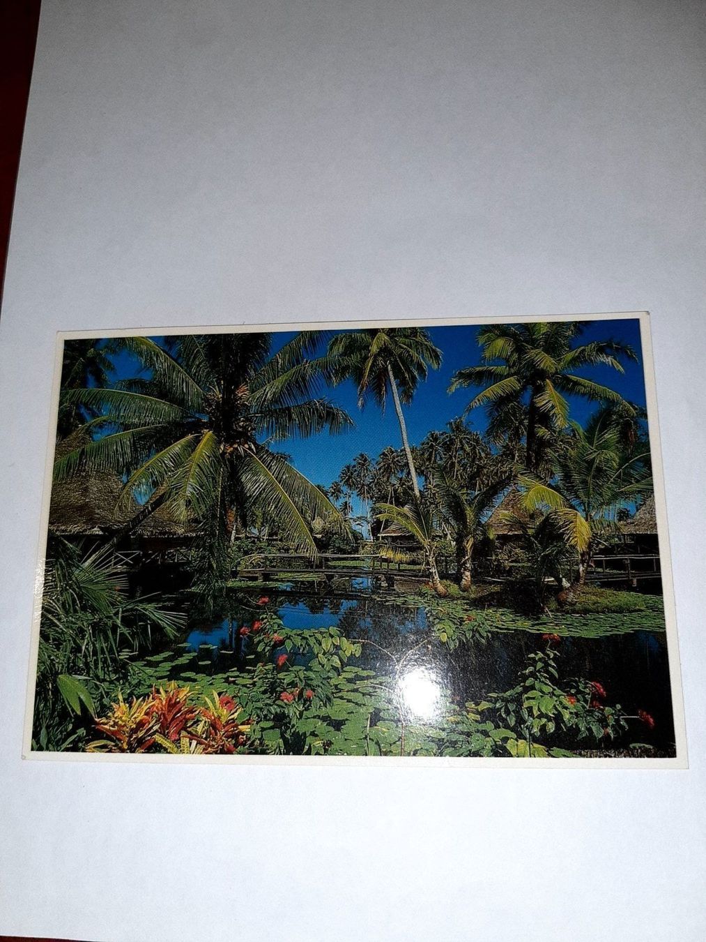 Cartoline postali: Carte post timbre de polynesie française – Usato da Le locle venduto da juliensaran 2