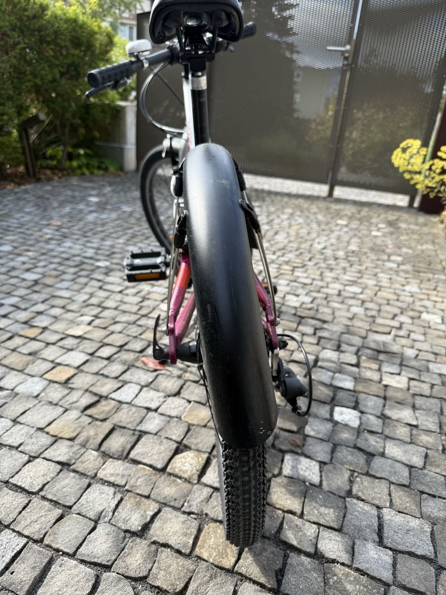 Crosswave Biciclette: 20” Crosswave velo  – Usato da Meggen venduto da Petra-Arte 9