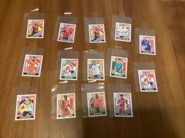 Panini FIFA World Cup extra Stickers 14STK sammlung silber