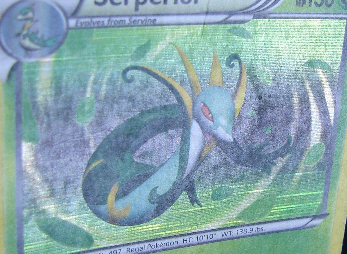 Pokémon Carte collezionabili: Serperior Promo Holo                /163 – Usato da Rümlang venduto da coh_87ww 5