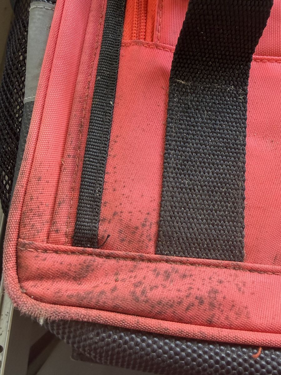 Sacs à dos: Rucksack (Baustelle/SBB) – Neuf (Voir description) à Sarnen par olho1 6