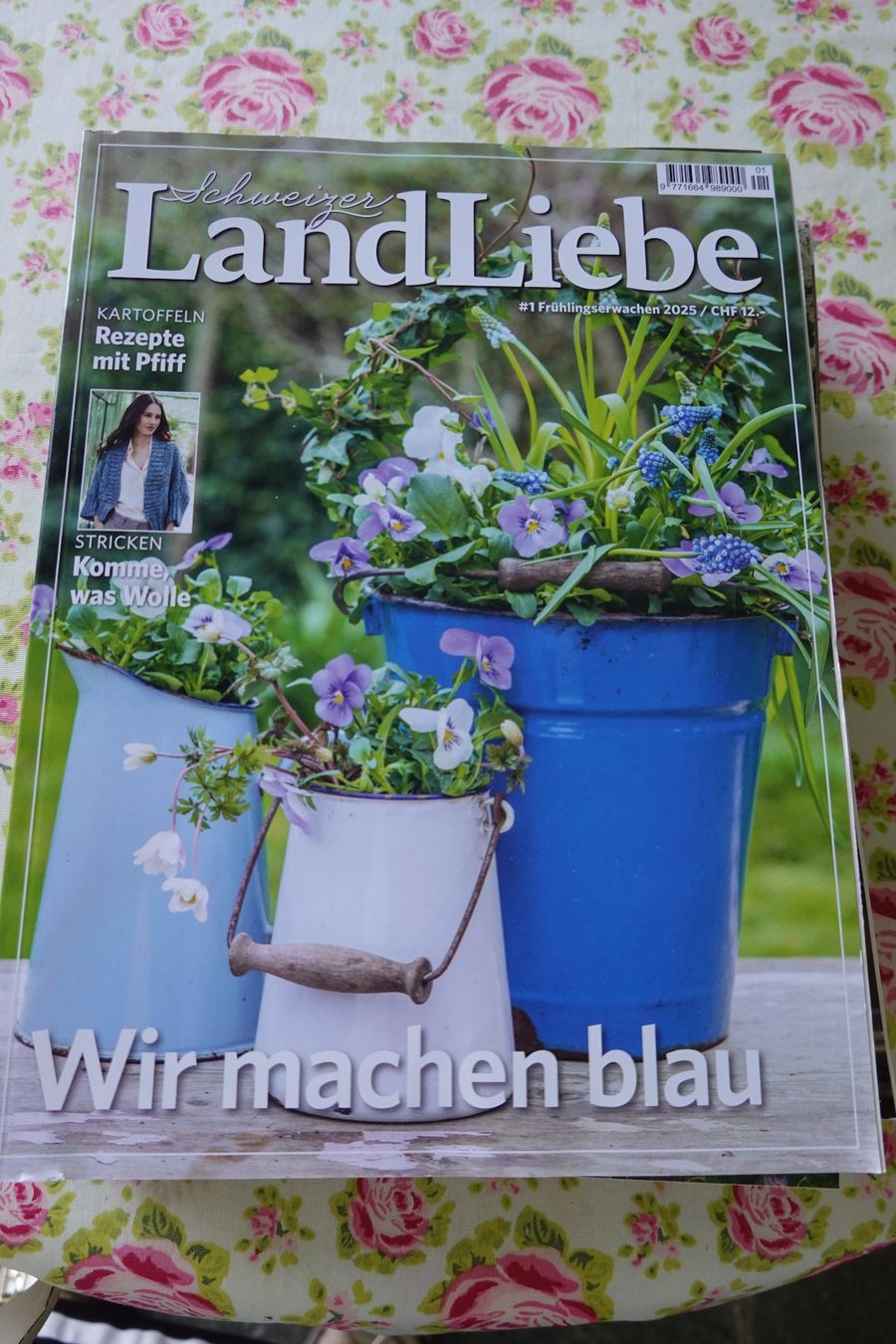 Riviste & Magazine: 7 Schweizer LandLiebe Magazine Schweiz 2025 Garten Kochen... – Usato da Jona venduto da simongarden 7