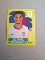 PANINI FIFA 2026 USA 15