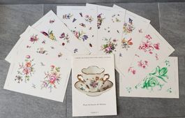 Kunstdruckvorlage Blumen/Insekten Motive v.Meissen Porzellan